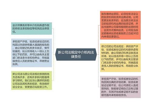 新公司法规定中介机构法律责任