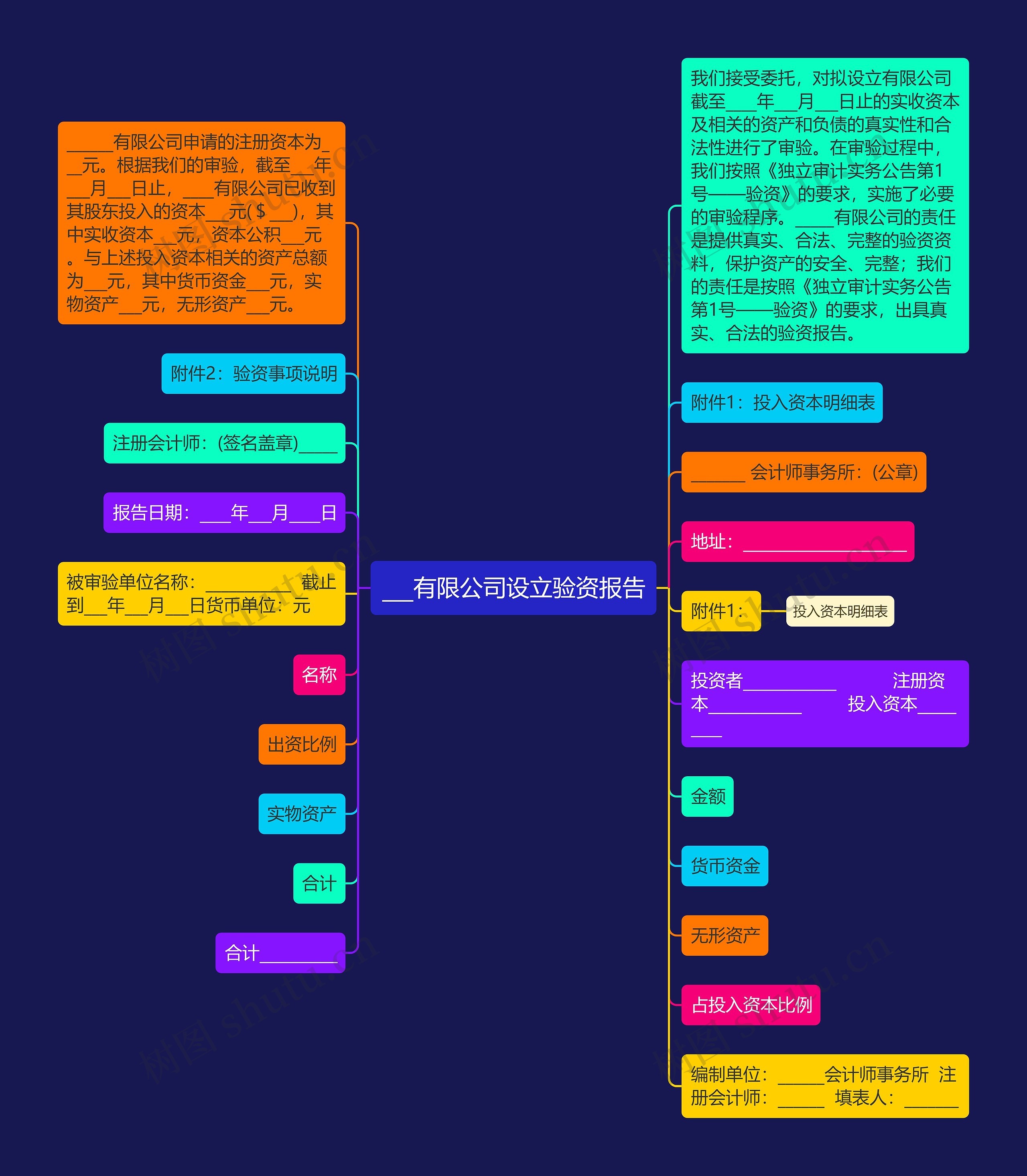 ___有限公司设立验资报告思维导图