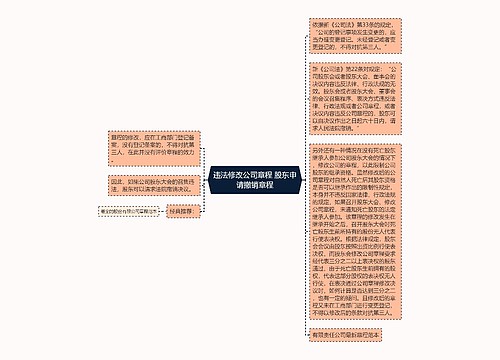 违法修改公司章程 股东申请撤销章程