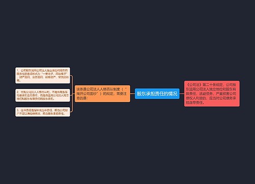 股东承担责任的情况