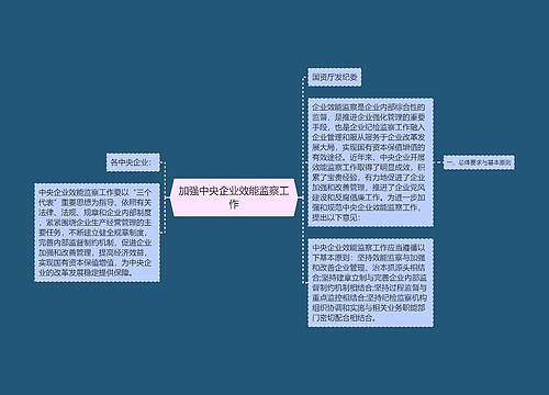 加强中央企业效能监察工作