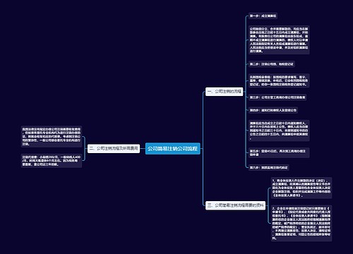 公司简易注销公司流程