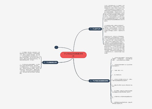 子公司成立的流程是怎样的