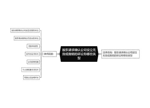 股东请求确认公司设立无效或撤销的诉讼有哪些类型