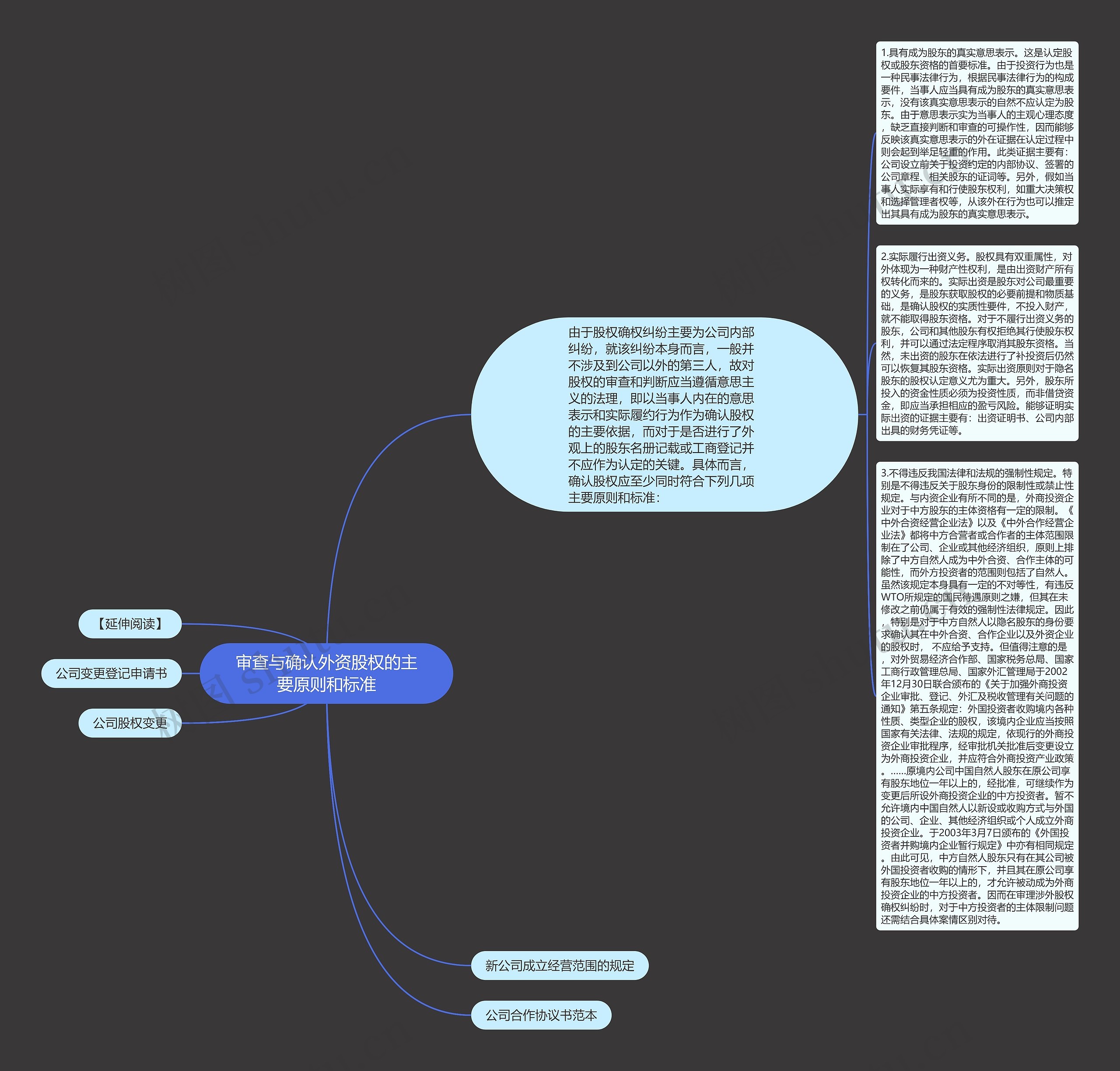 审查与确认外资股权的主要原则和标准思维导图