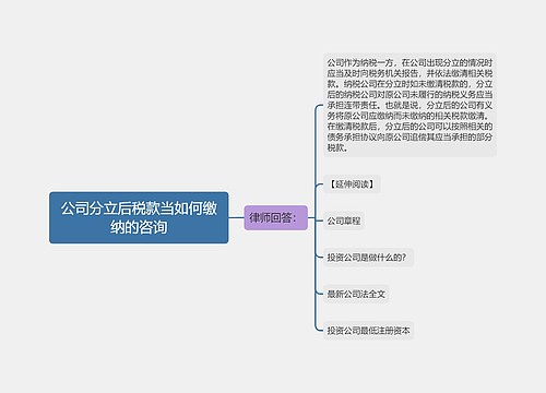 公司分立后税款当如何缴纳的咨询