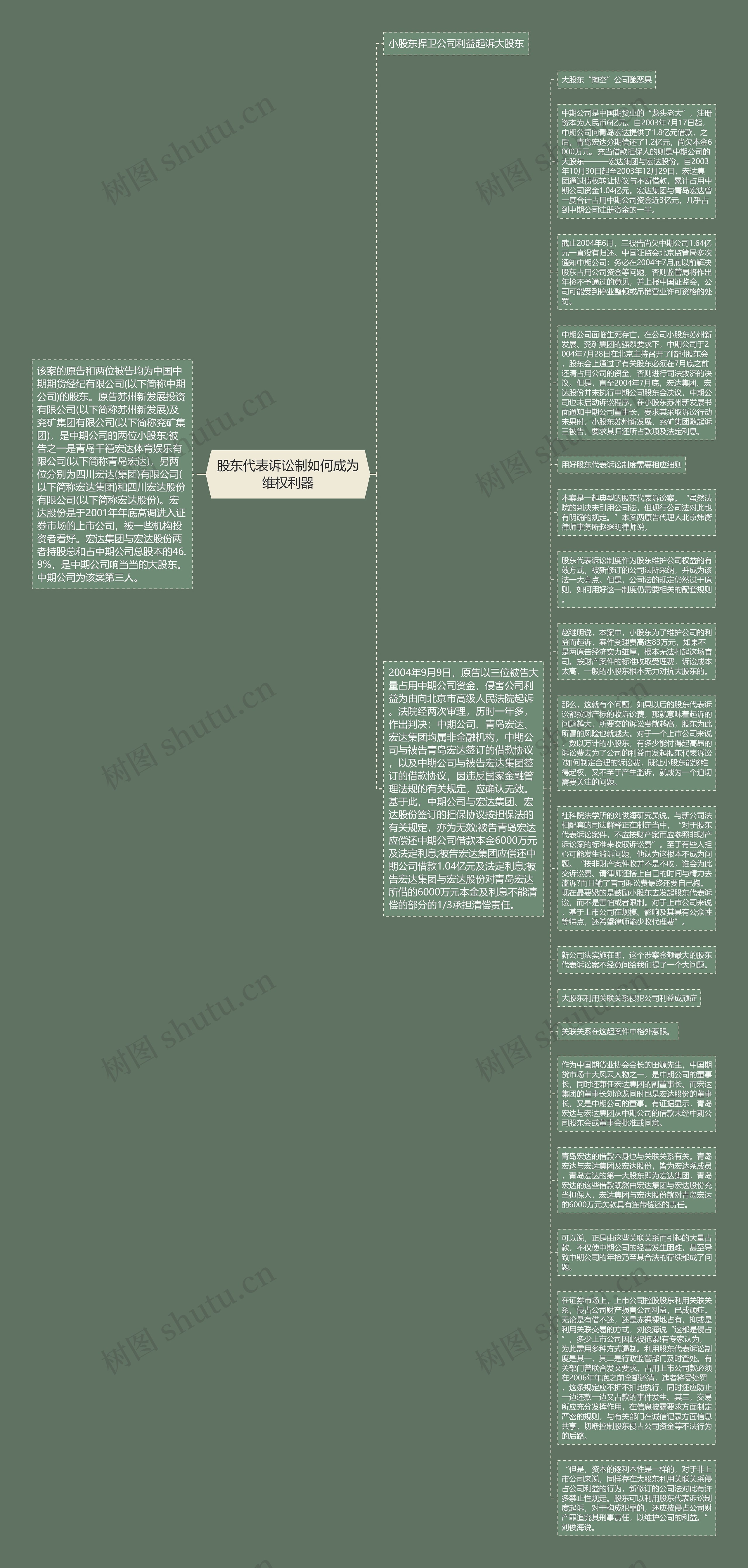 股东代表诉讼制如何成为维权利器思维导图