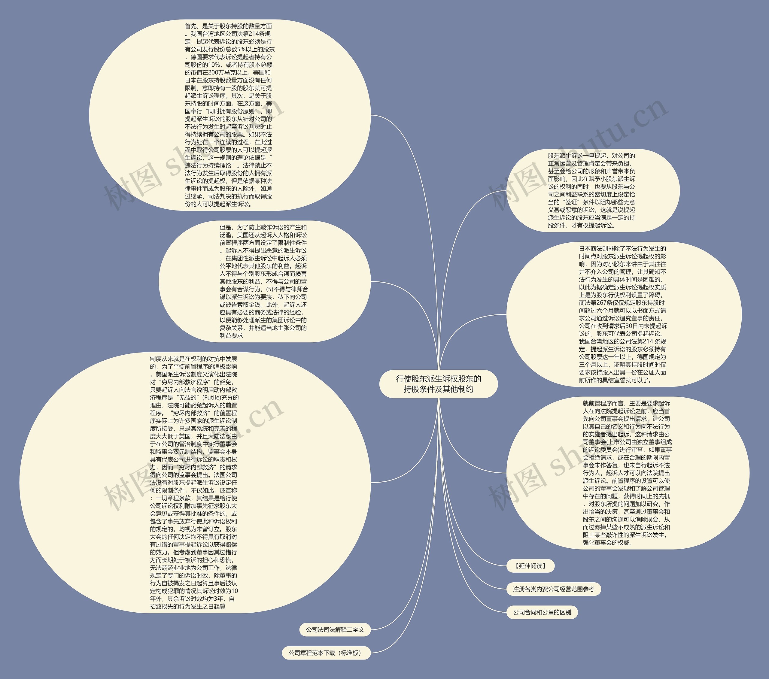 行使股东派生诉权股东的持股条件及其他制约思维导图