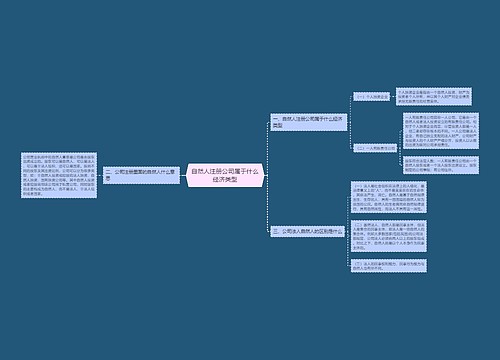 自然人注册公司属于什么经济类型