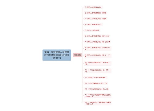 董事、高级管理人员损害股东利益赔偿纠纷与司法救济(二)