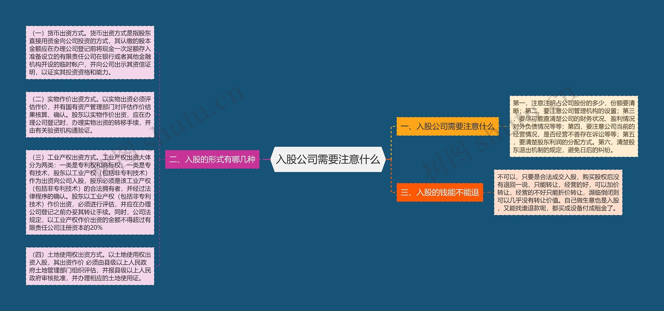 入股公司需要注意什么思维导图