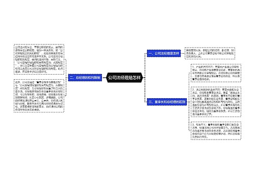 公司法经理是怎样