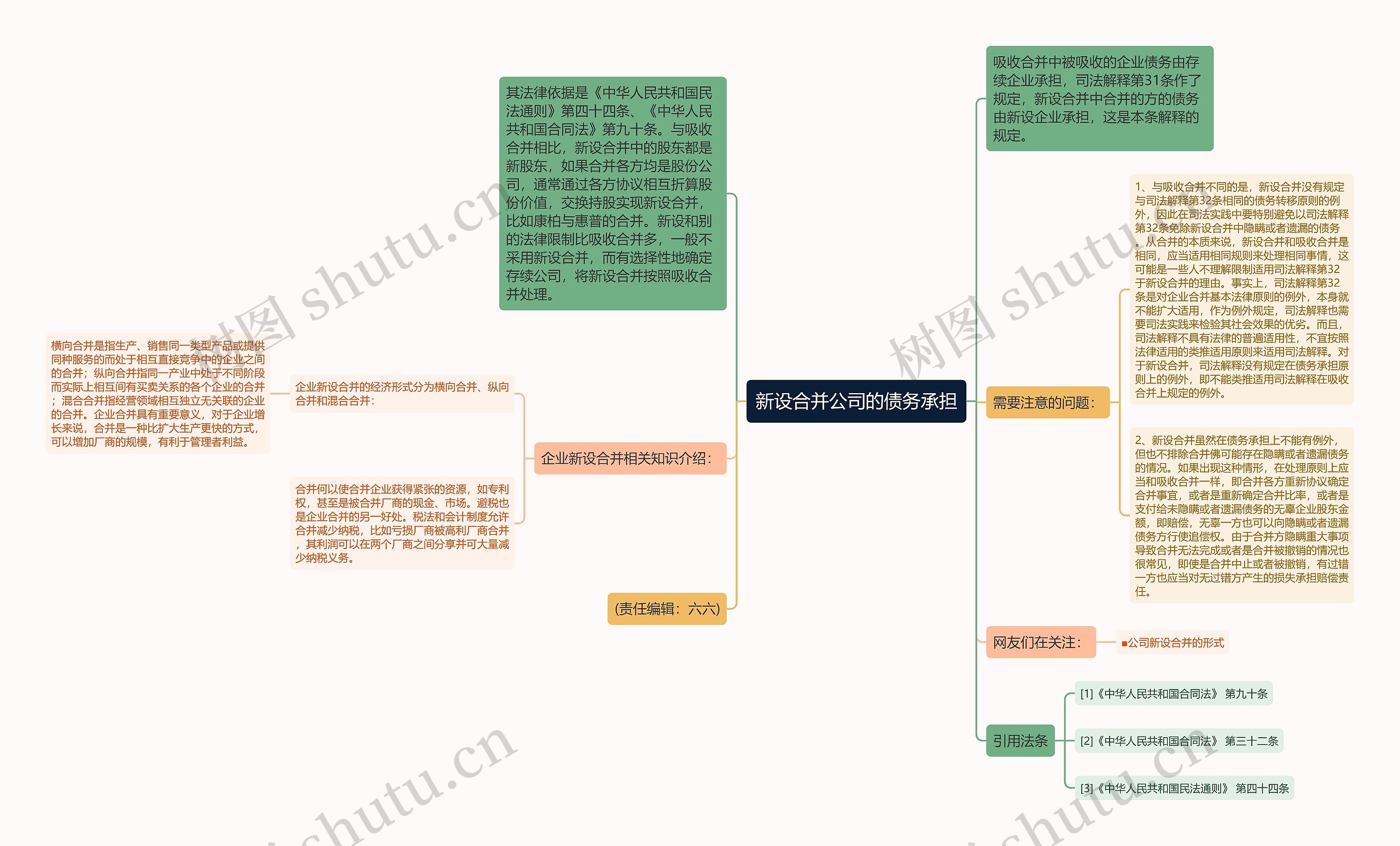 新设合并公司的债务承担