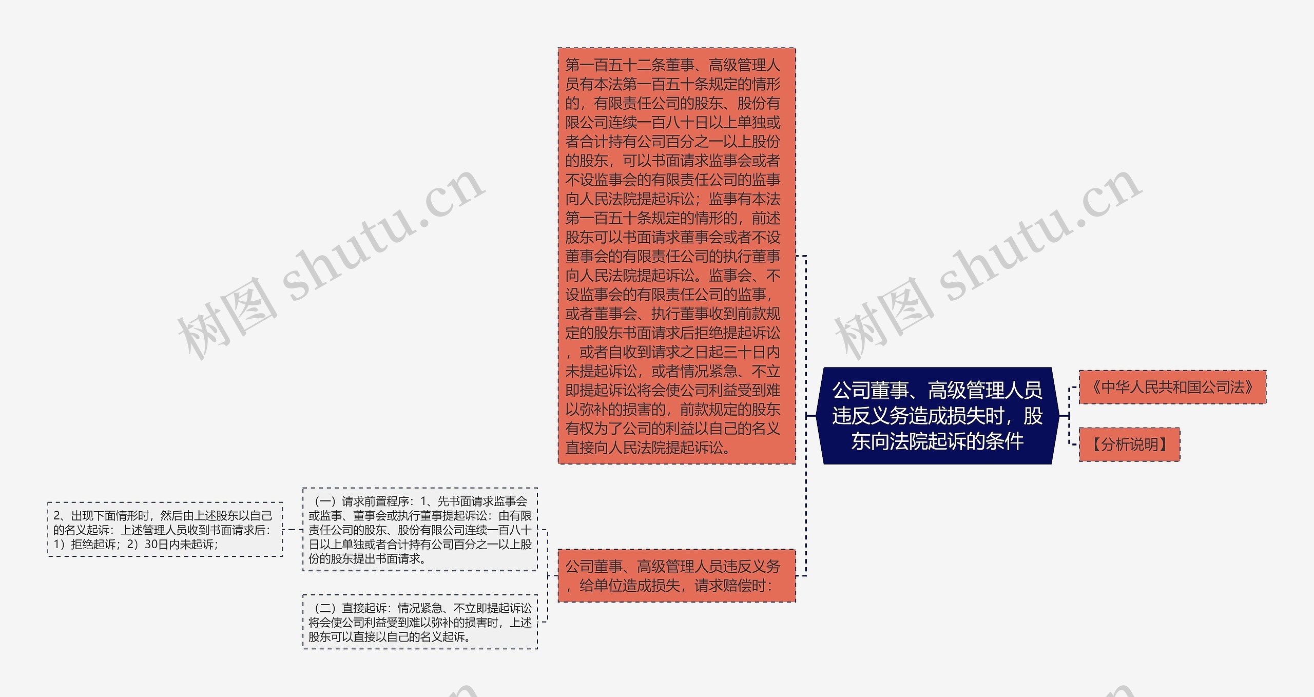 公司董事、高级管理人员违反义务造成损失时，股东向法院起诉的条件思维导图