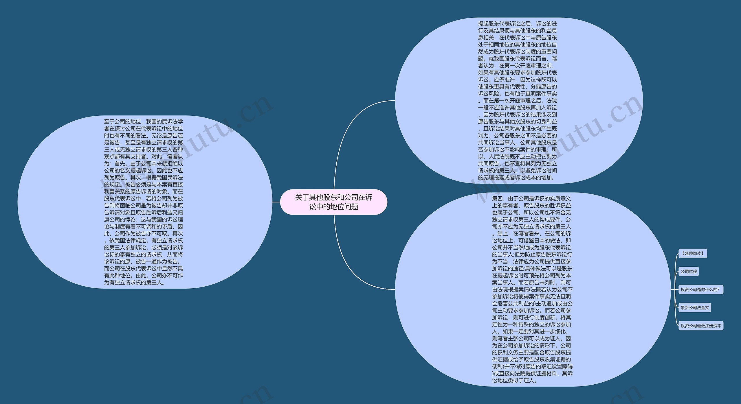 关于其他股东和公司在诉讼中的地位问题