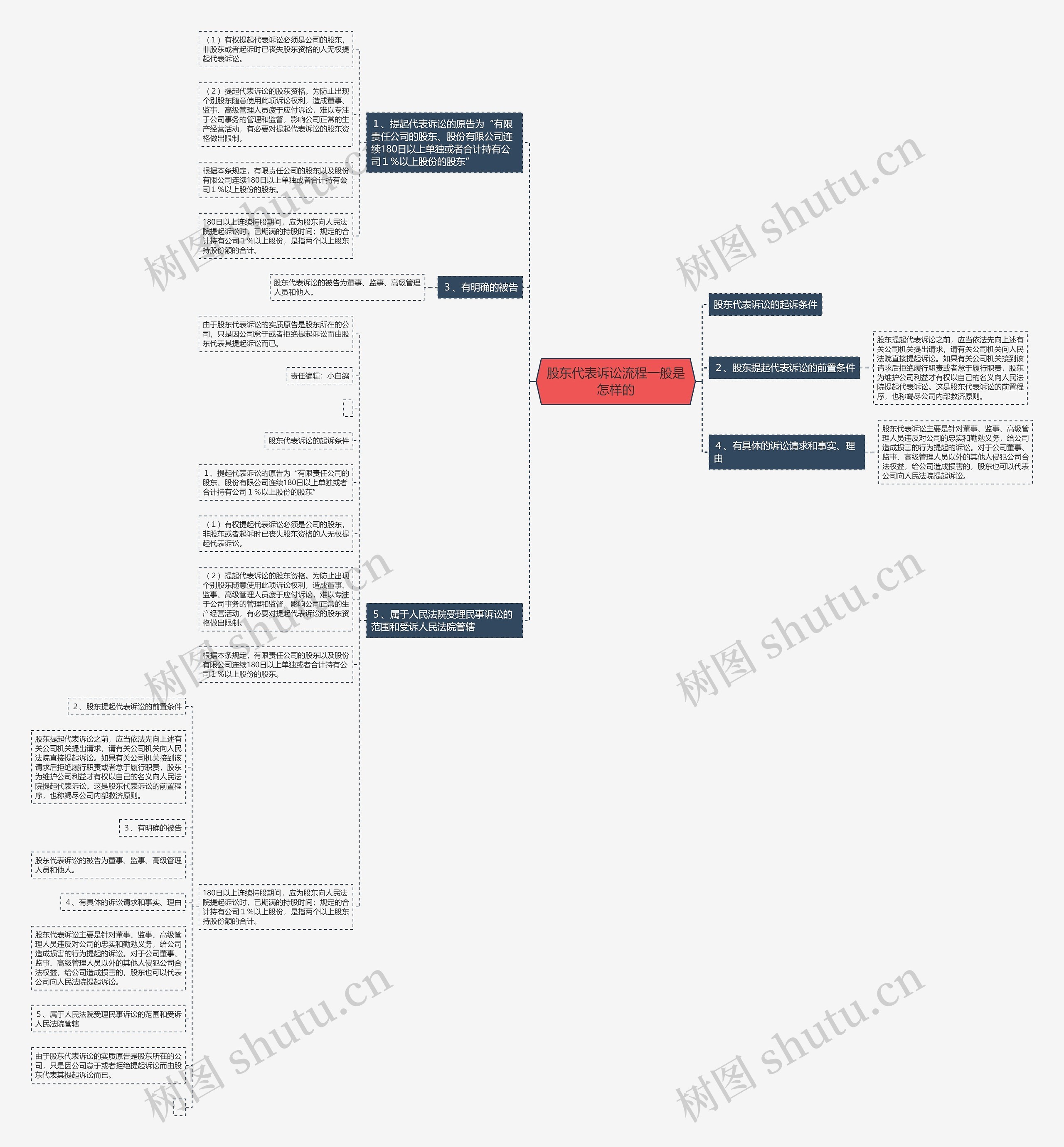 股东代表诉讼流程一般是怎样的思维导图