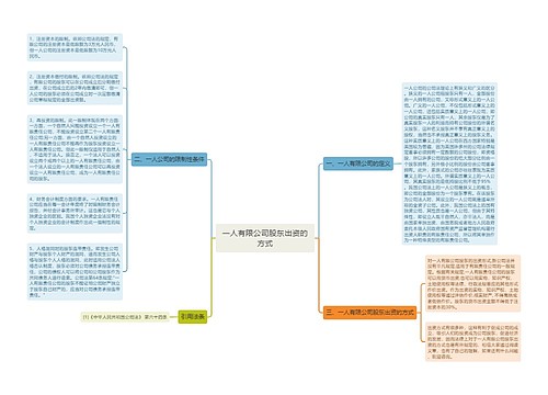 一人有限公司股东出资的方式