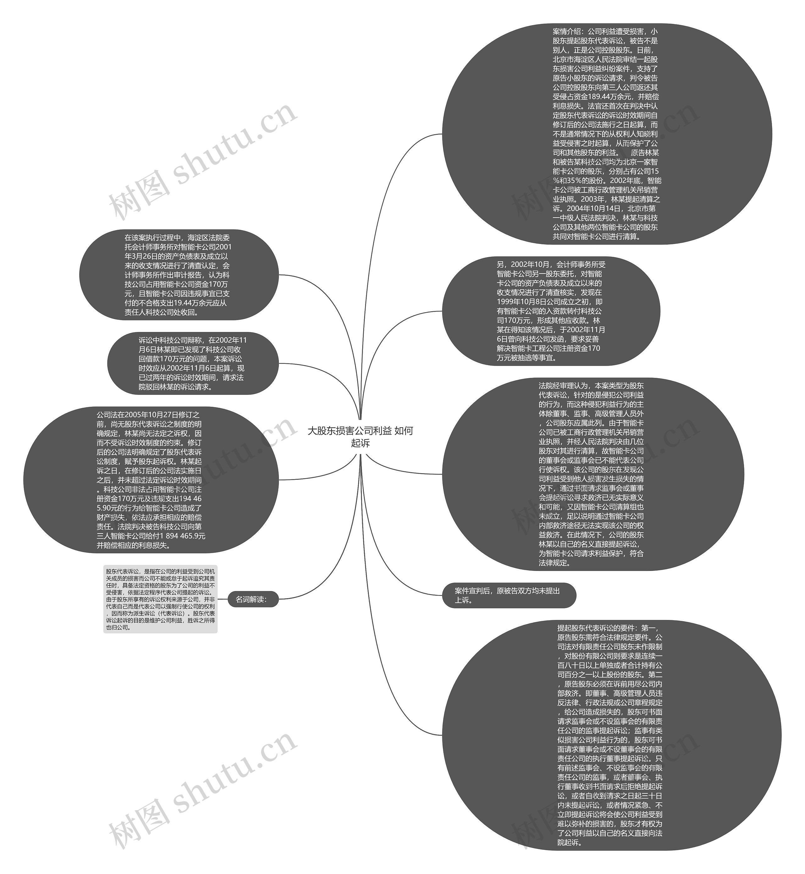 大股东损害公司利益 如何起诉思维导图