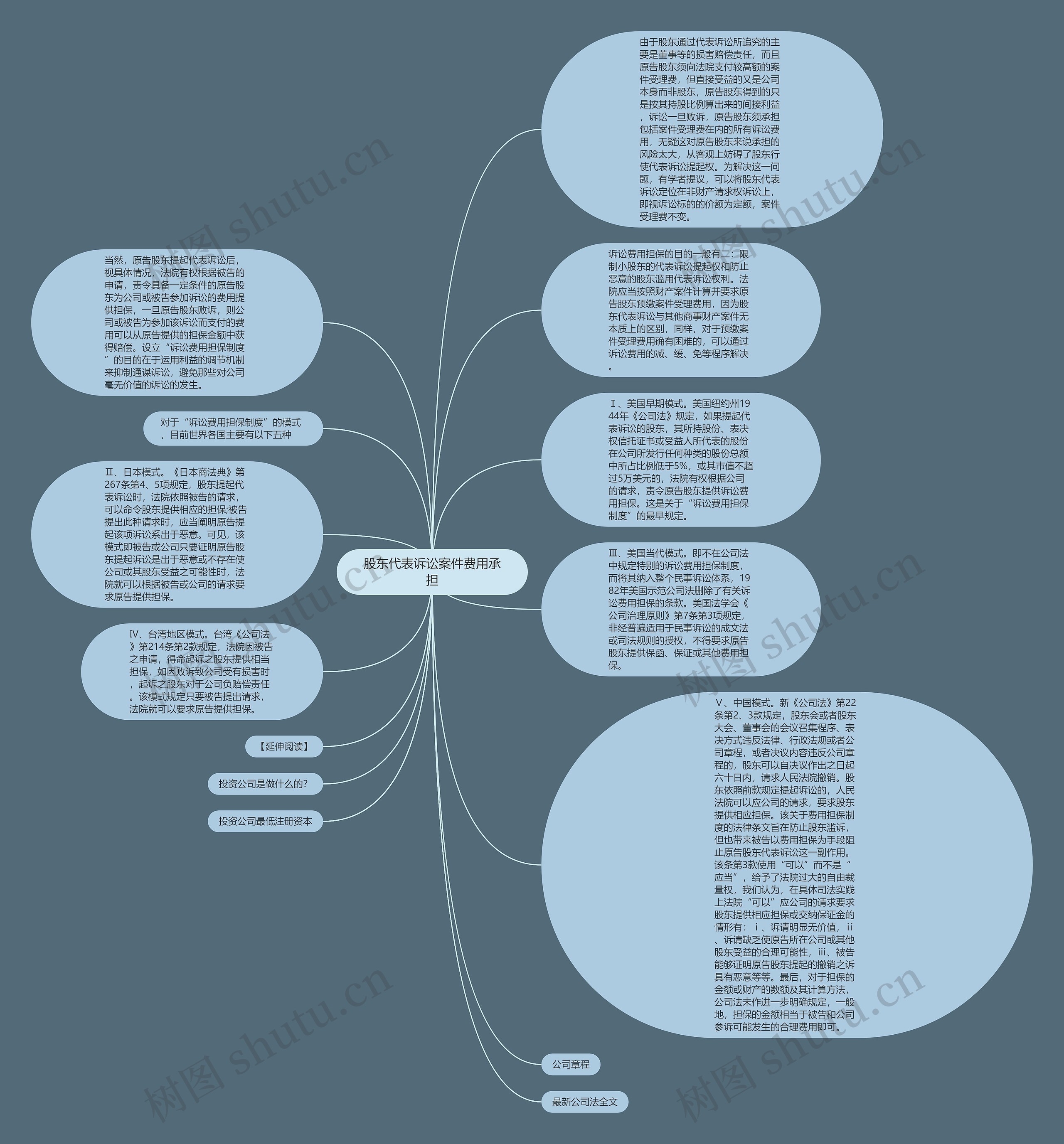 股东代表诉讼案件费用承担思维导图