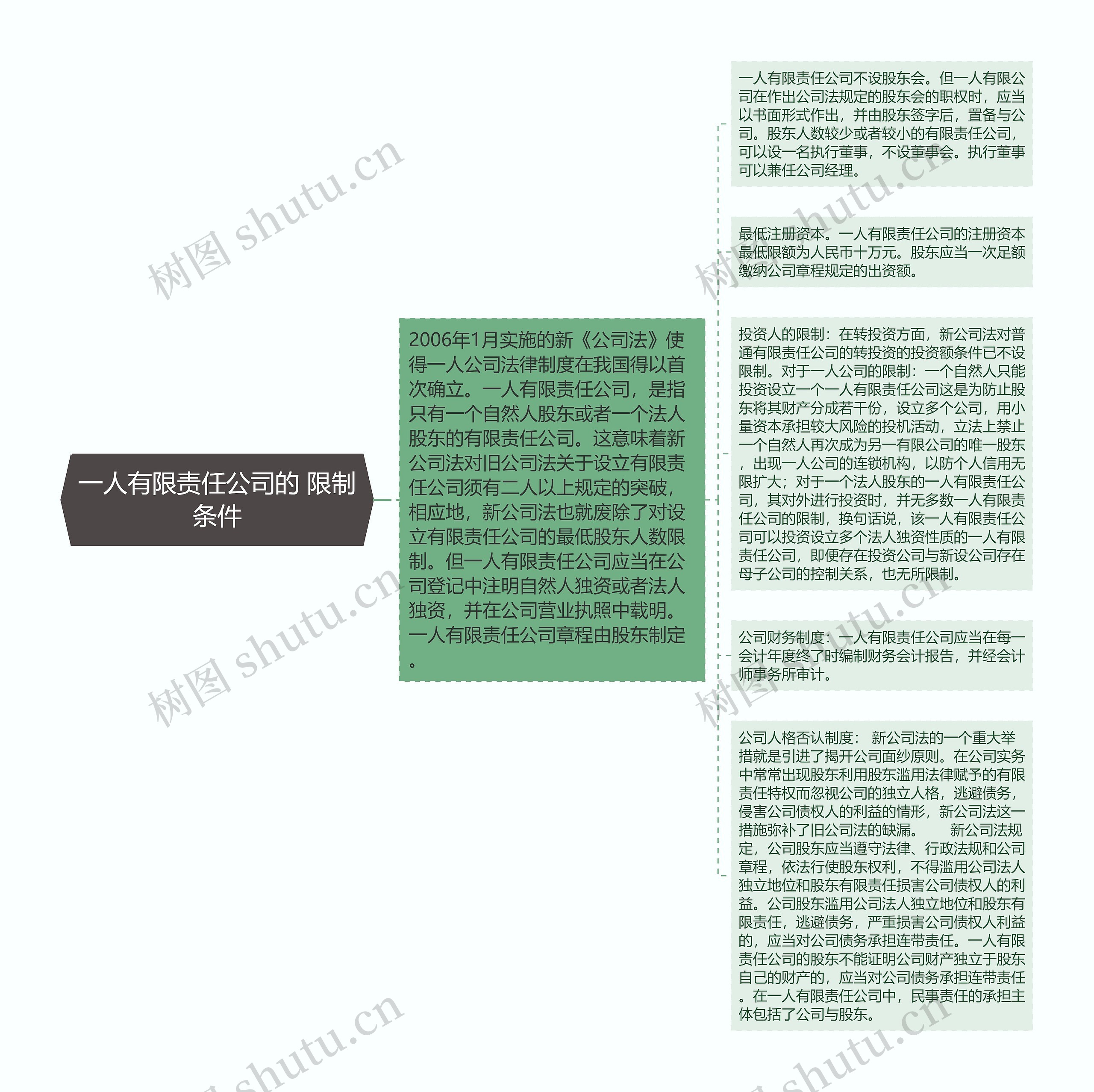 一人有限责任公司的 限制条件思维导图