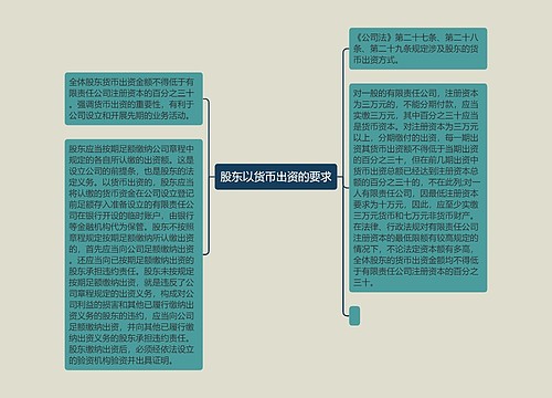 股东以货币出资的要求