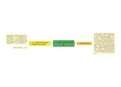 一人有限公司对股东的限制