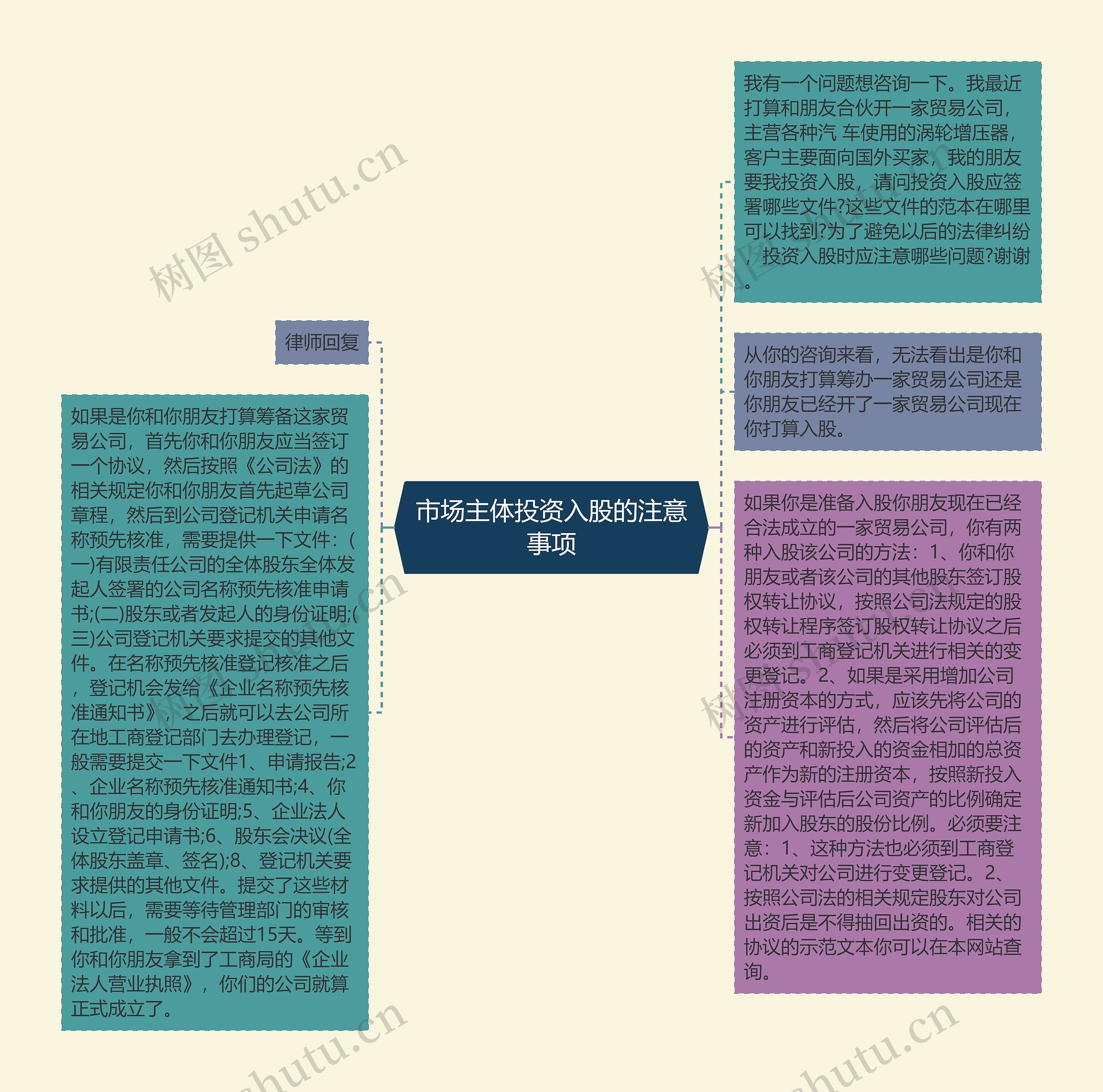 市场主体投资入股的注意事项思维导图