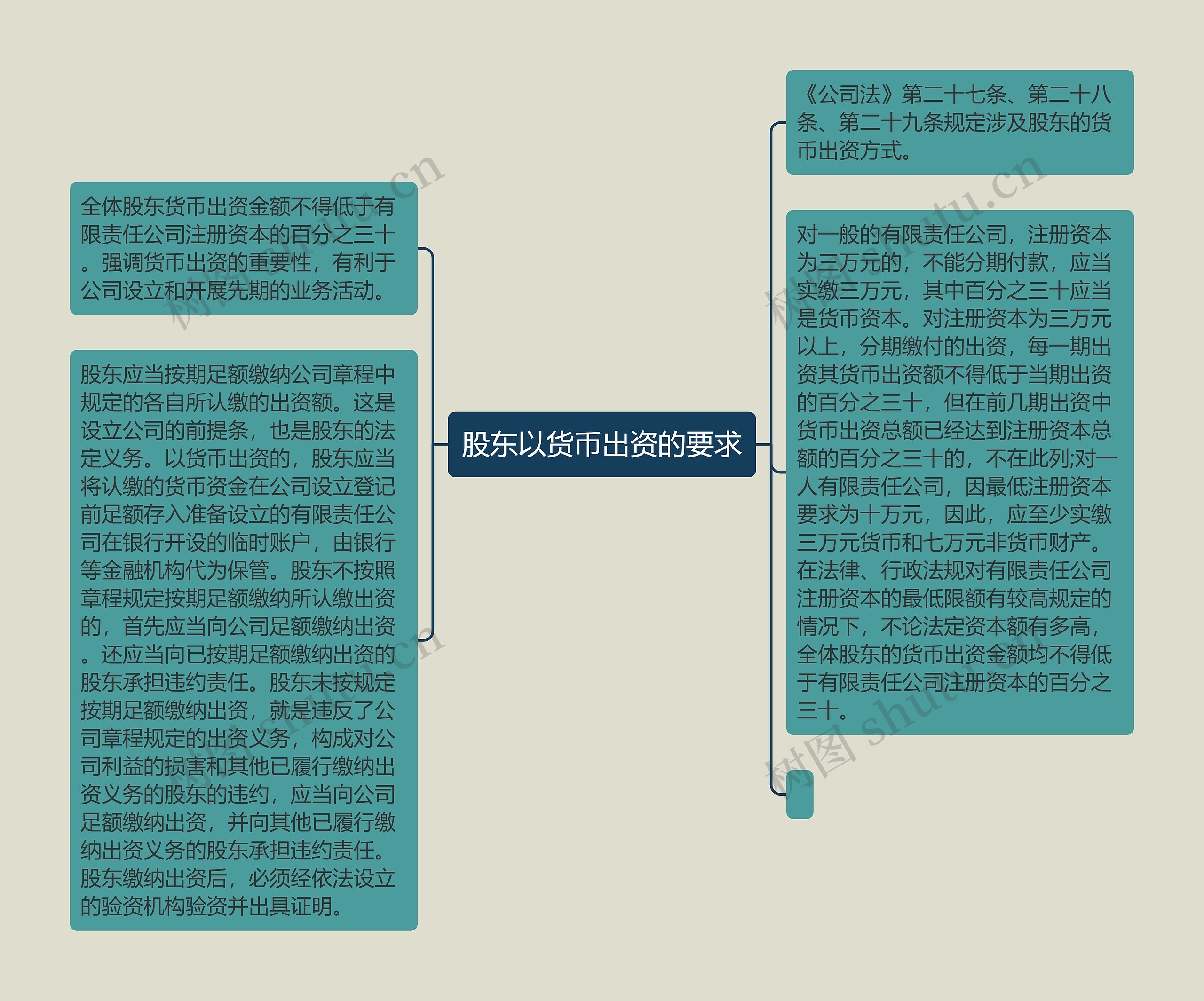 股东以货币出资的要求思维导图