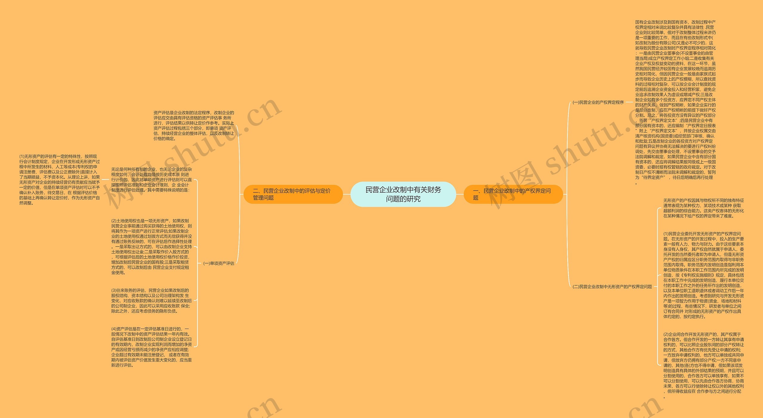 民营企业改制中有关财务问题的研究思维导图