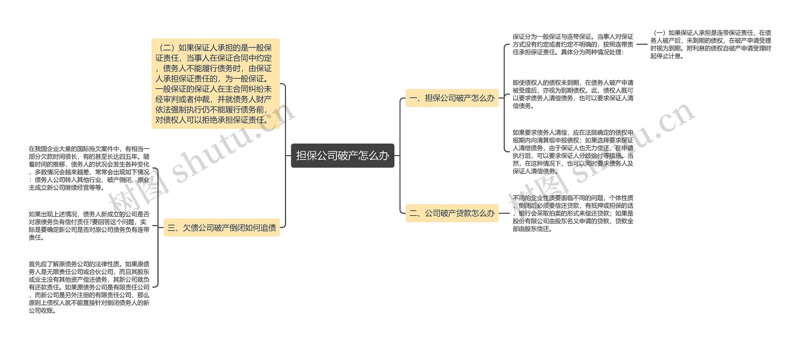 担保公司破产怎么办思维导图