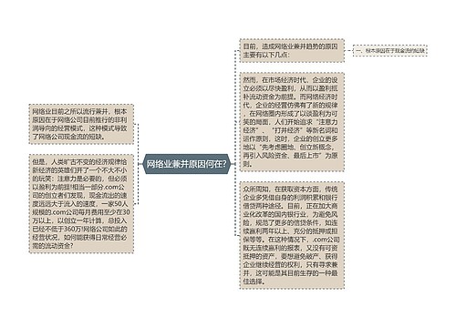 网络业兼并原因何在?