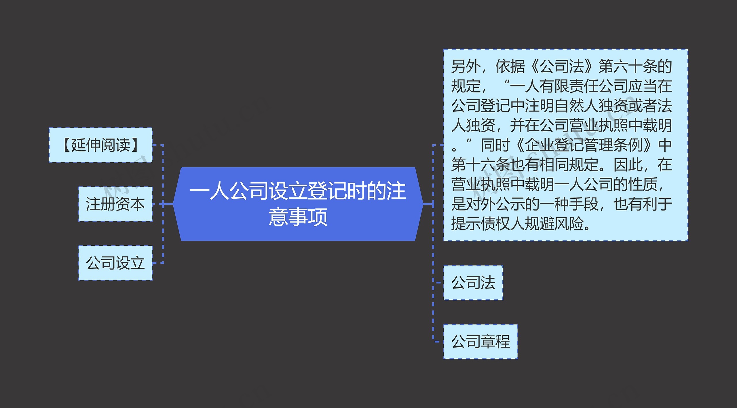 一人公司设立登记时的注意事项思维导图