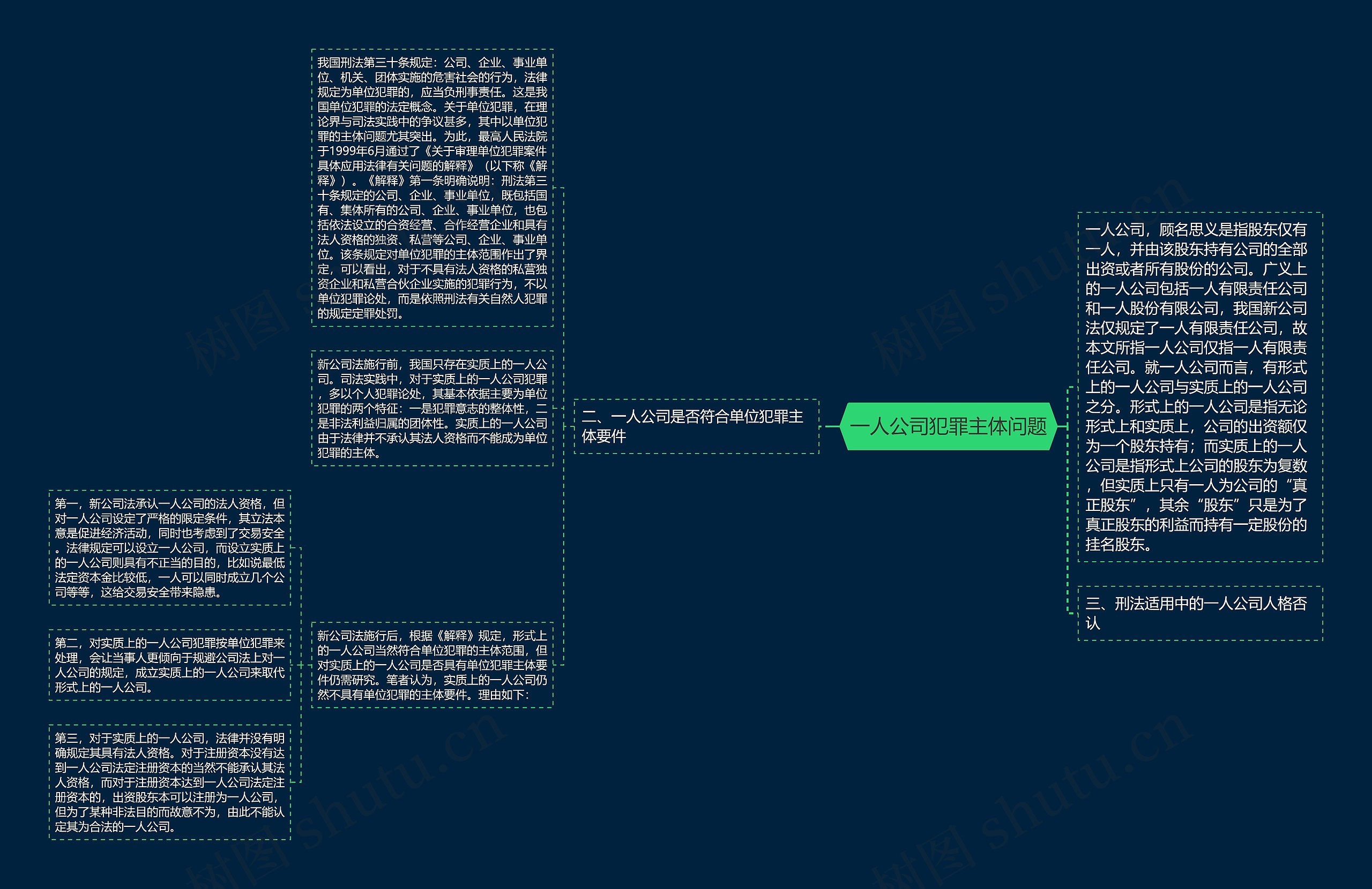 一人公司犯罪主体问题