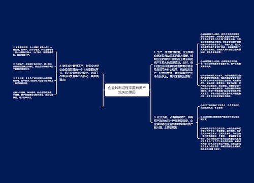 企业转制过程中国有资产流失的原因