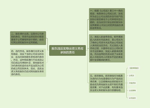 股东违反实物出资义务应承担的责任