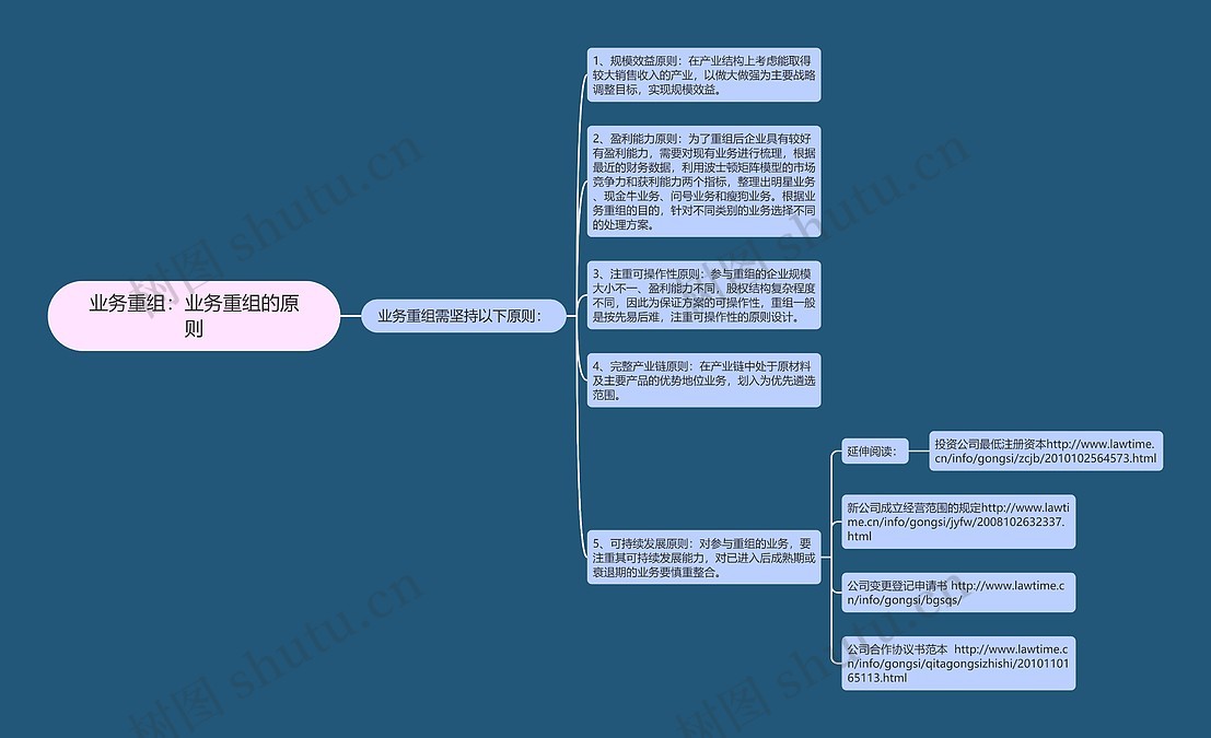 业务重组：业务重组的原则思维导图_编号p6604205-TreeMind树图