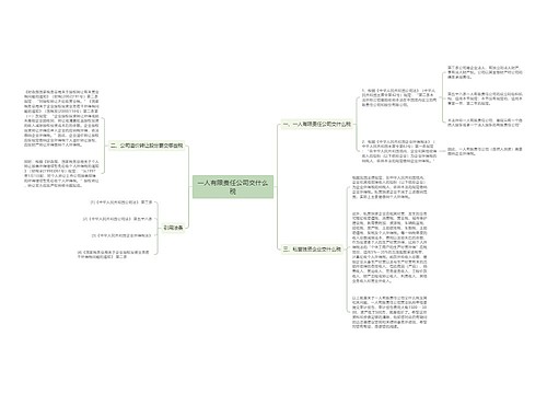 一人有限责任公司交什么税