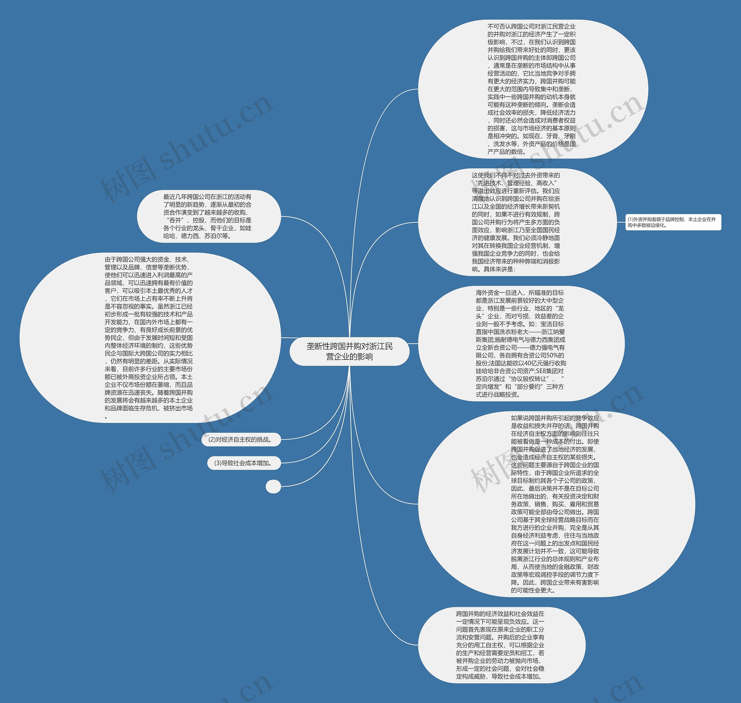 垄断性跨国并购对浙江民营企业的影响思维导图