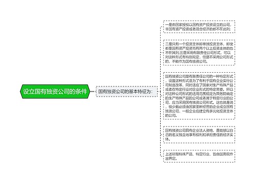 设立国有独资公司的条件