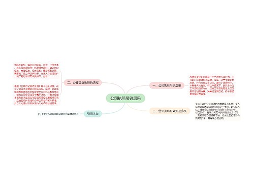 公司执照吊销后果