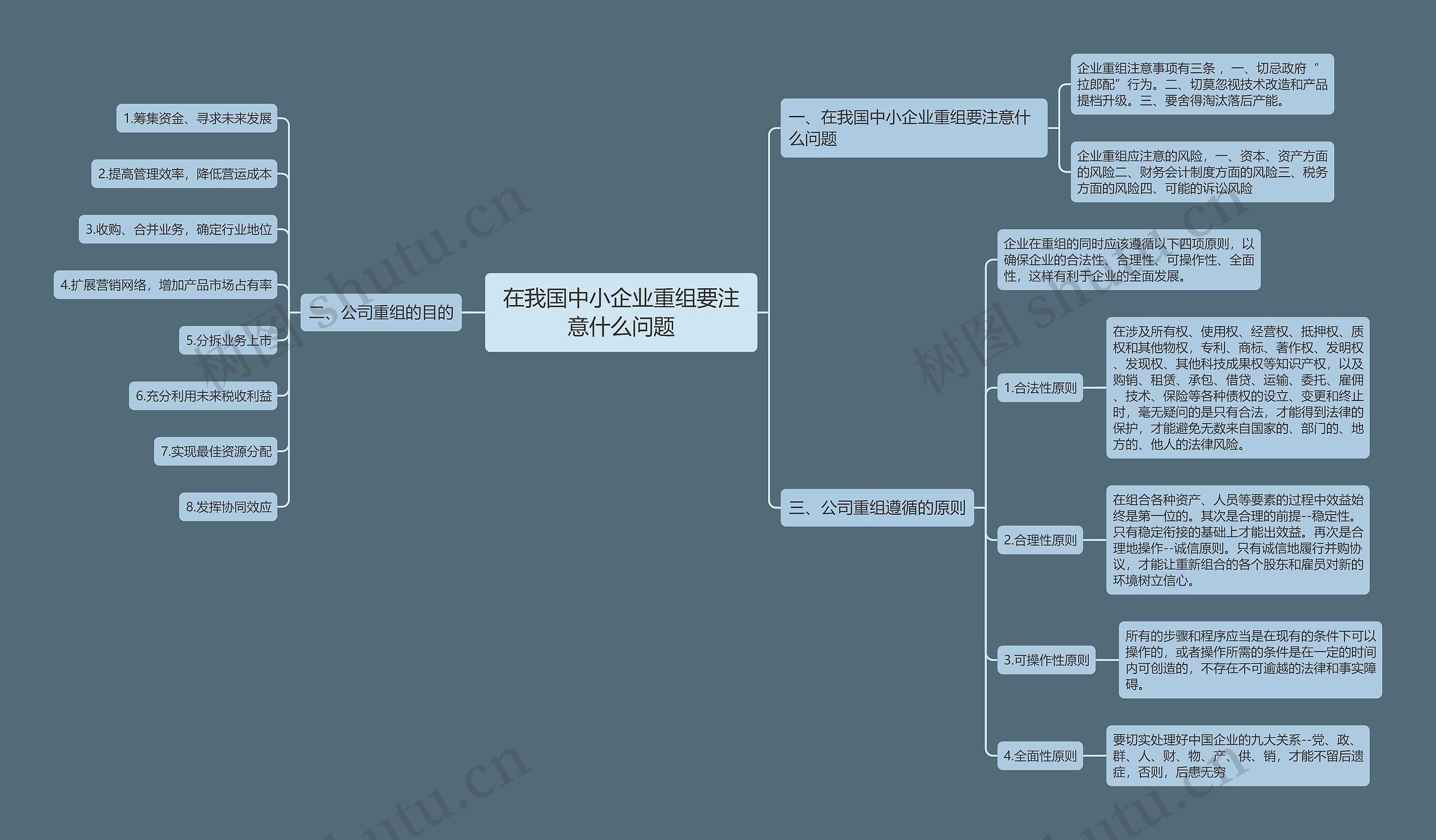 在我国中小企业重组要注意什么问题思维导图