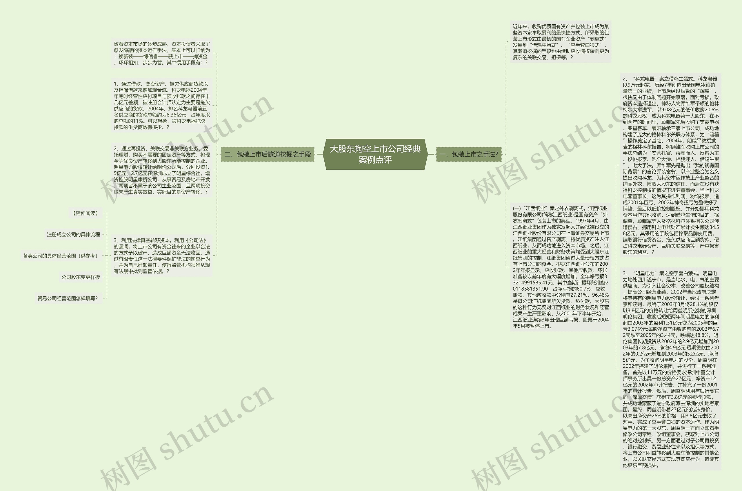 大股东掏空上市公司经典案例点评思维导图