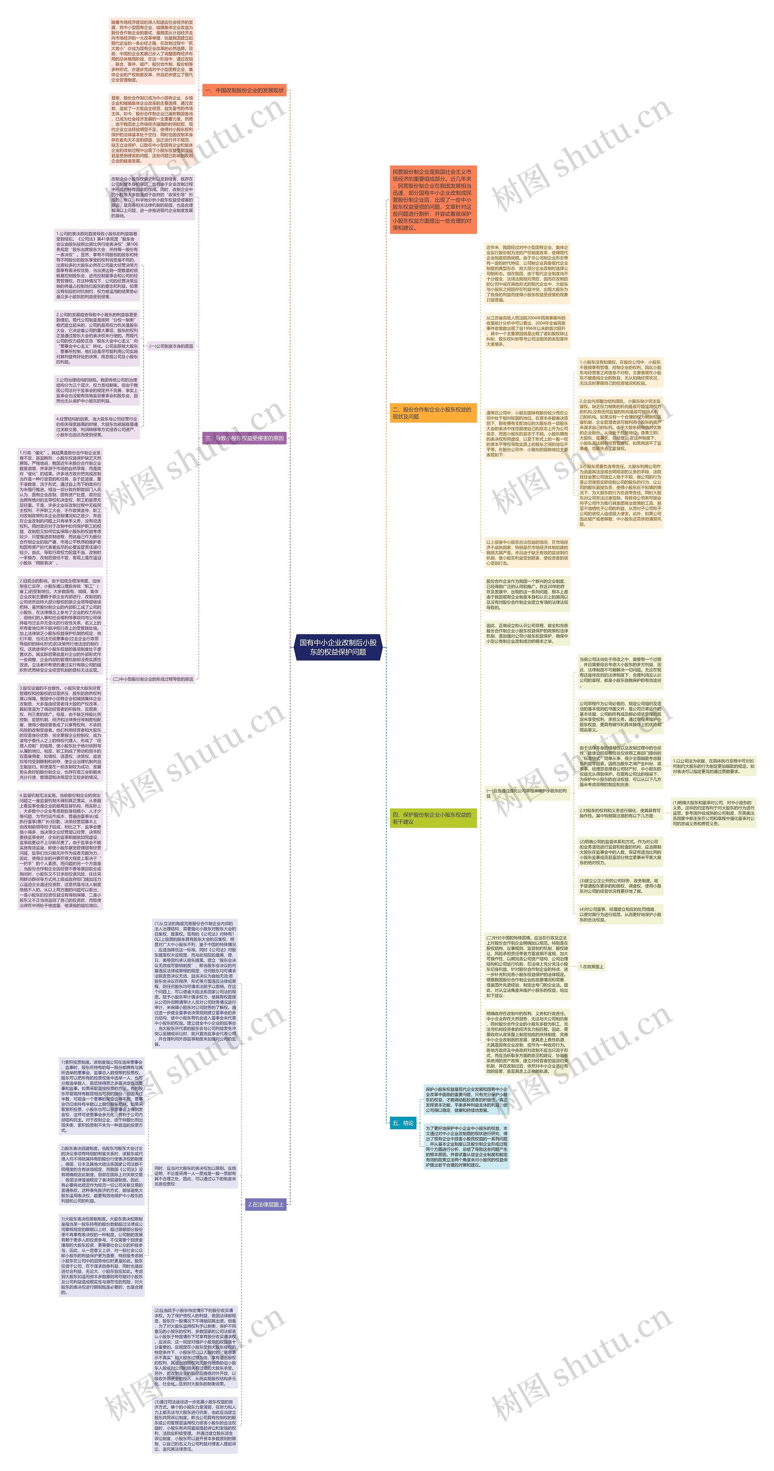 国有中小企业改制后小股东的权益保护问题思维导图