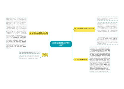 公司非法集资股东承担什么责任