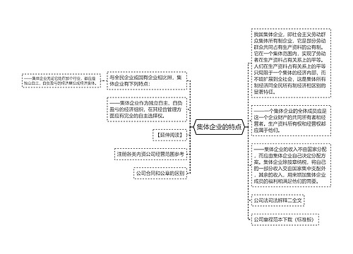 集体企业的特点