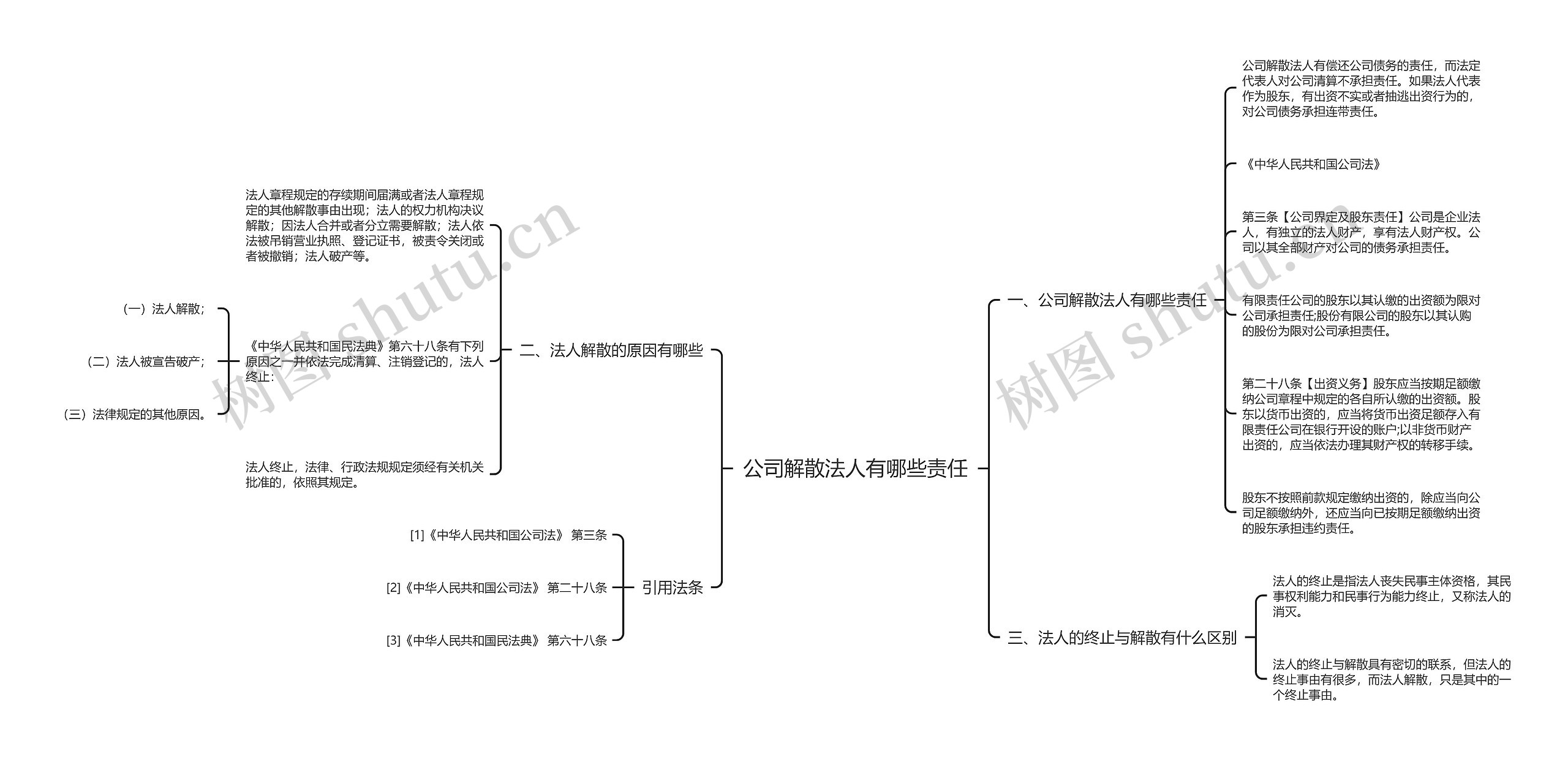 公司解散法人有哪些责任思维导图