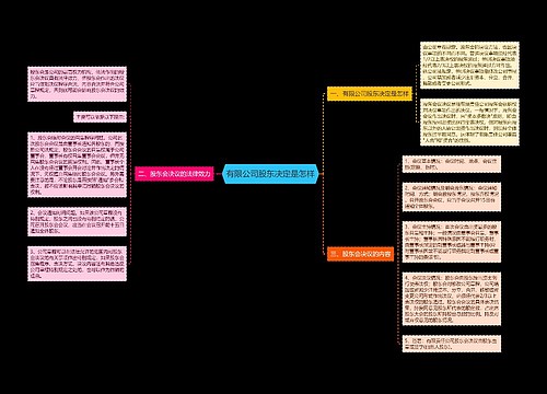 有限公司股东决定是怎样