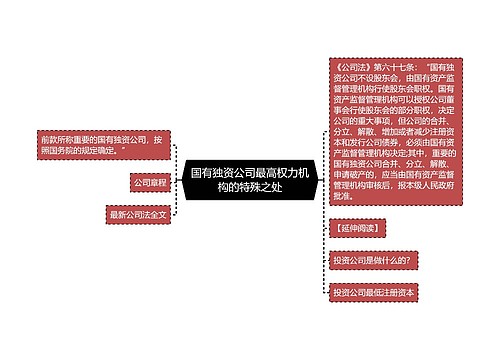 国有独资公司最高权力机构的特殊之处