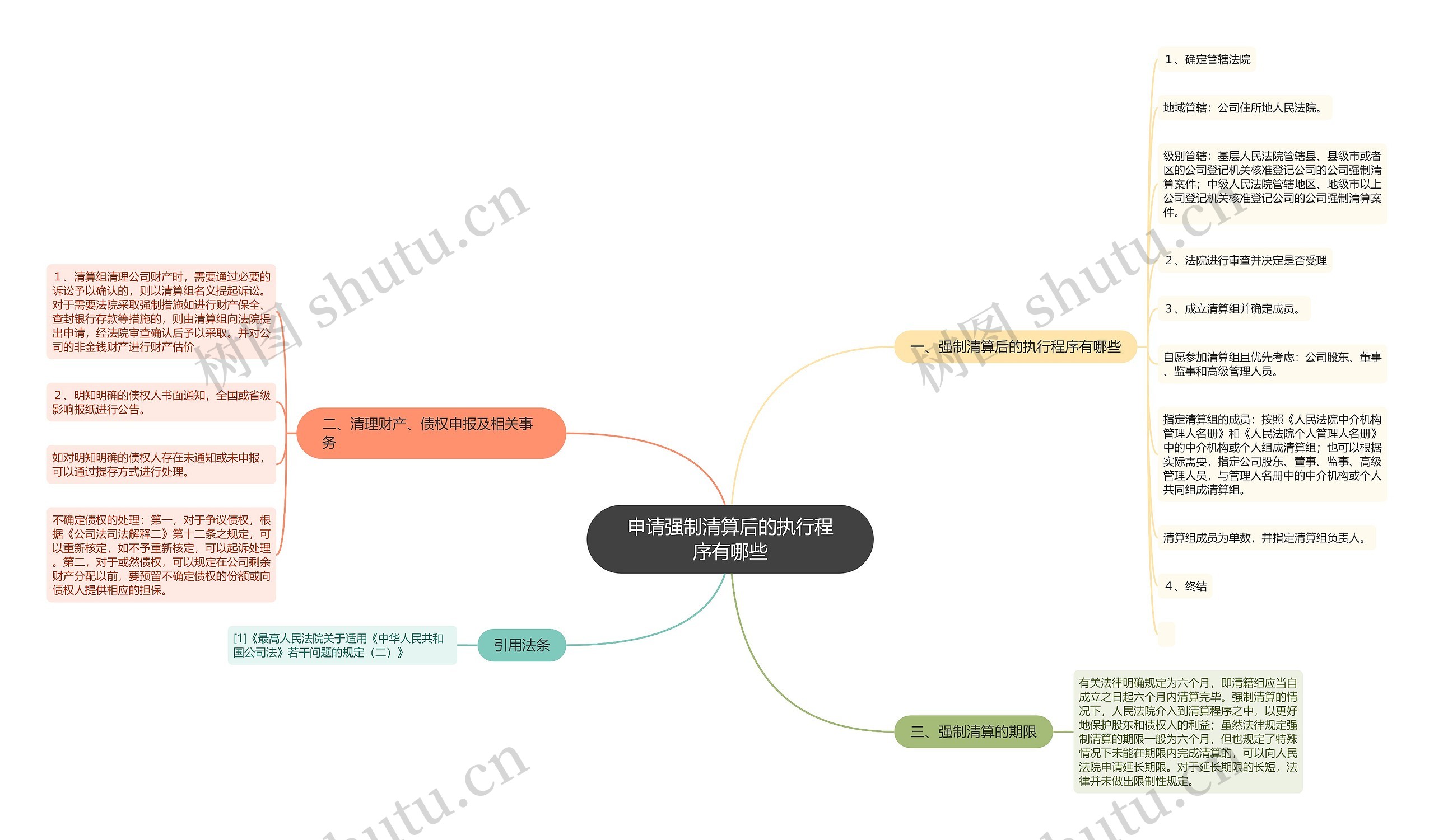 申请强制清算后的执行程序有哪些