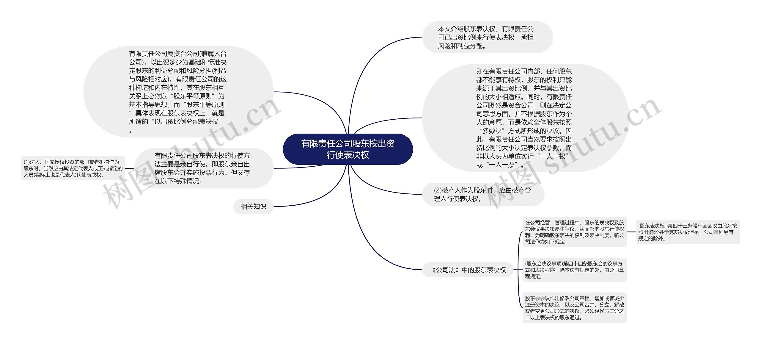 有限责任公司股东按出资行使表决权思维导图